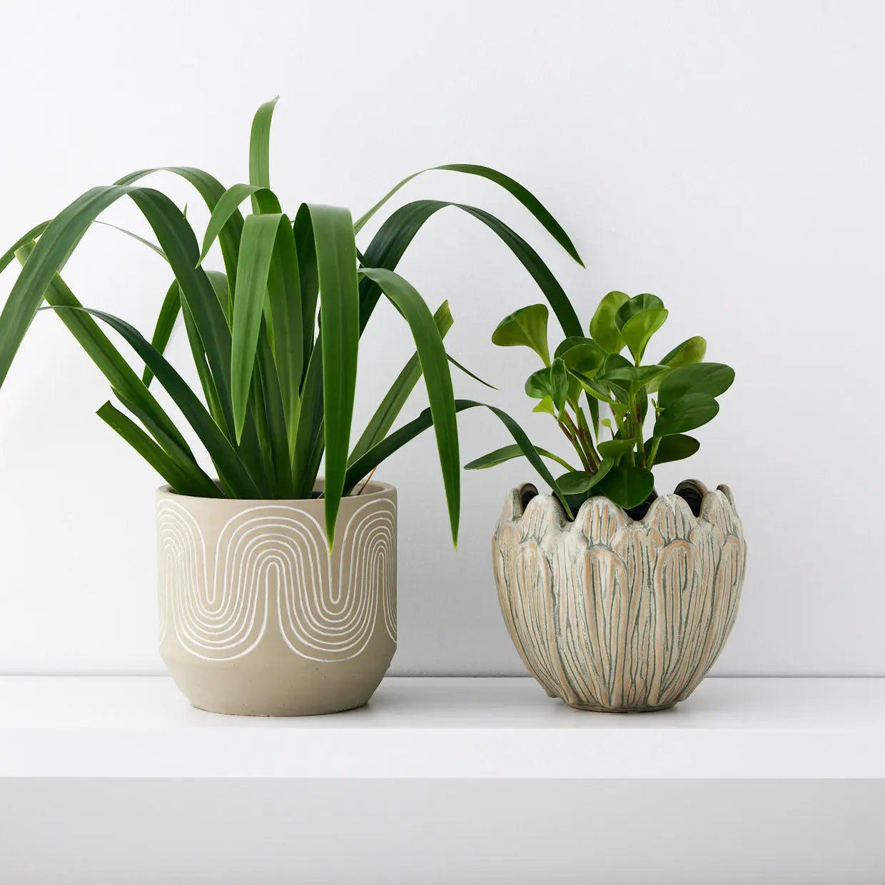 Arty Choke Ceramic Plant Pot - GigiandTom