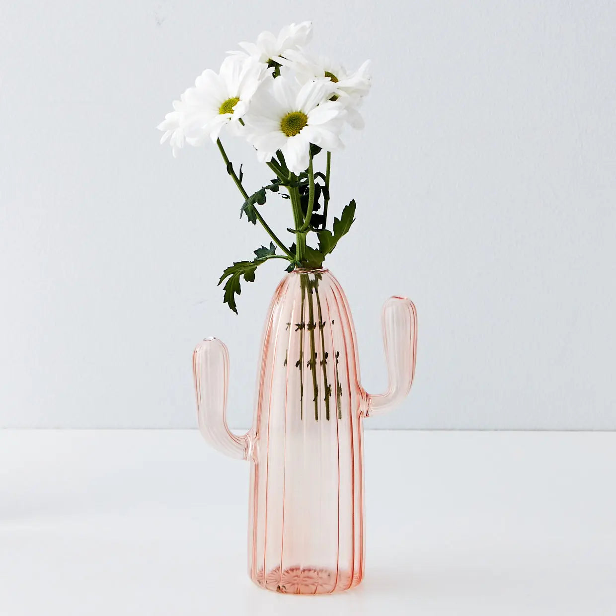 Cactus Tall Coloured Glass Vase Pink - GigiandTom