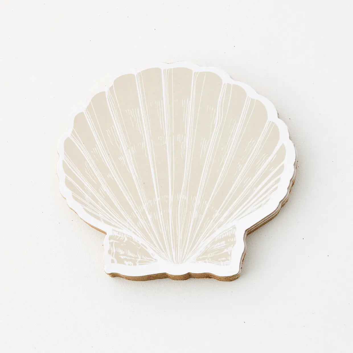 Clam Shell Coaster Set of 4 Natural Drink Coasters GIGI TOM