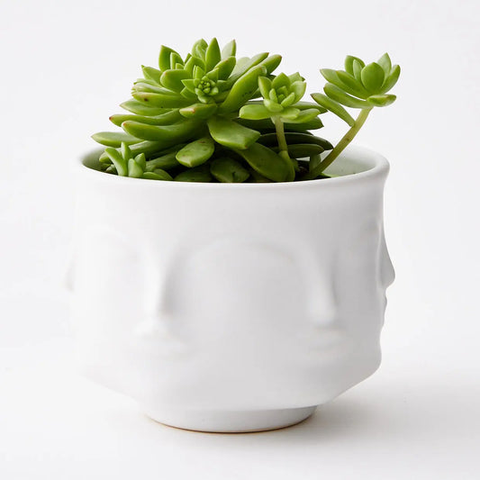 Gemelli Ceramic Plant Pot White - GigiandTom