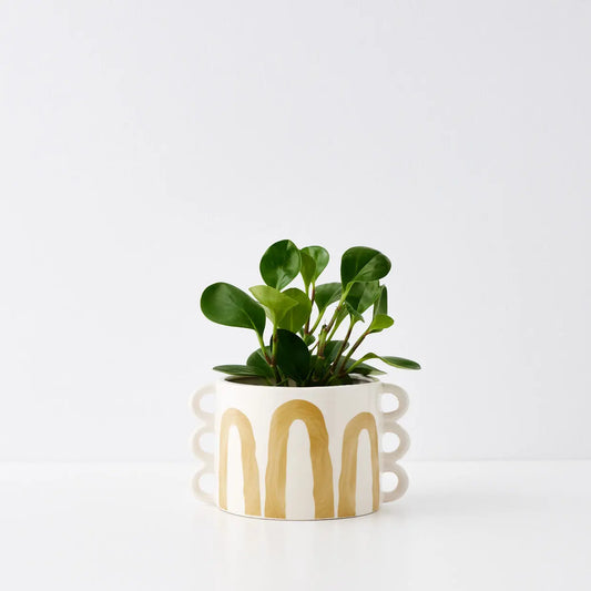 Golden Arches Ceramic Plant Pot - GigiandTom