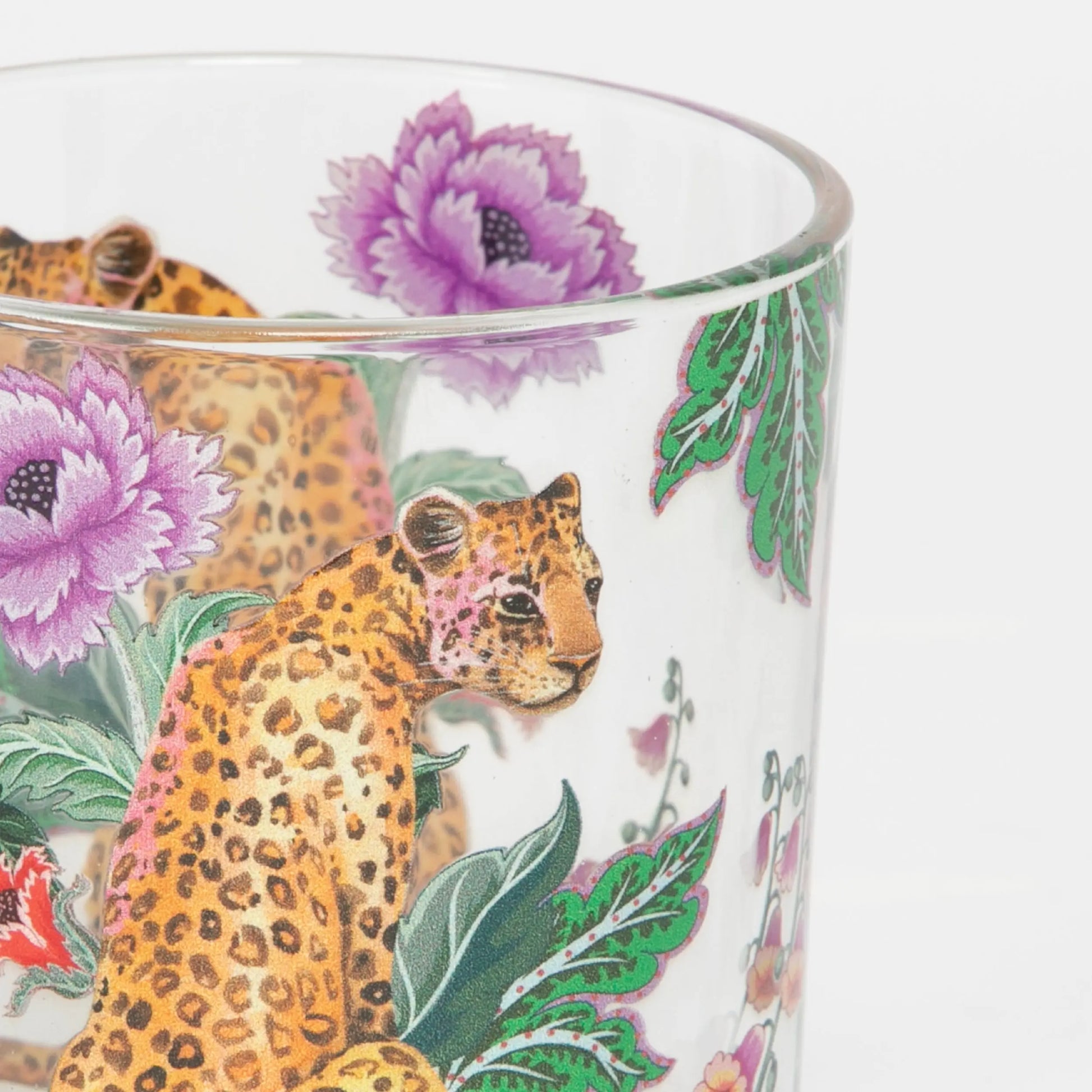 Jungle Rumble Assorted Drinking Tumblers Set of 4 - GigiandTom