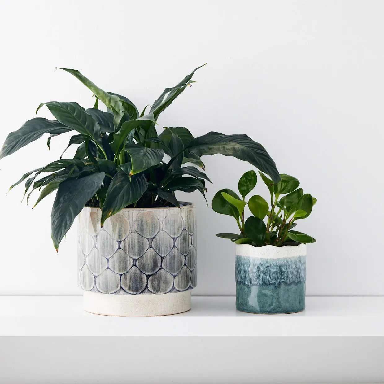 Plume Glazed Ceramic Plant Pot - GigiandTom