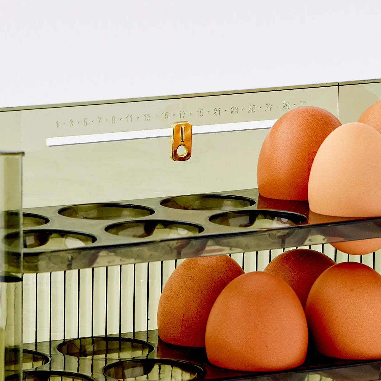 Egg Storage Container Box - GigiandTom